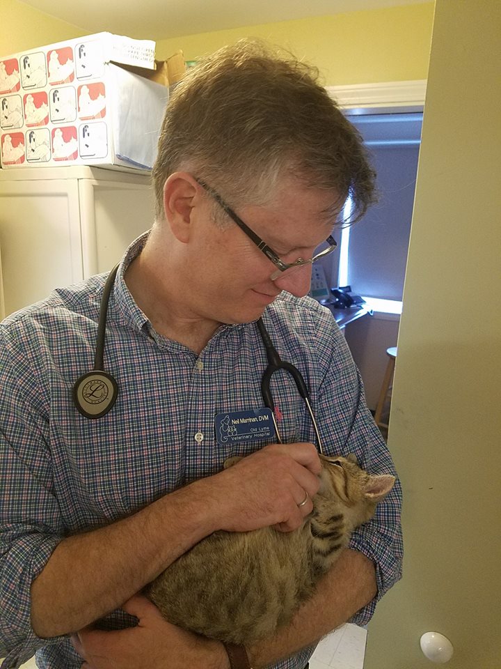 Old Lyme Veterinary Hospital Old Lyme, CT Our Doctors